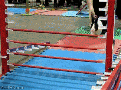 Amelia Cooper Profile GIF