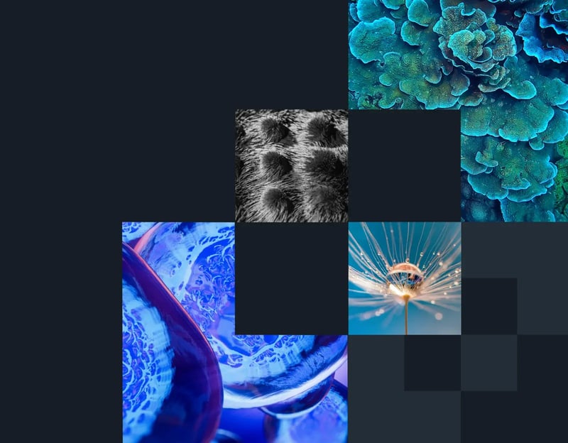 Biostrata Work Thumbnail