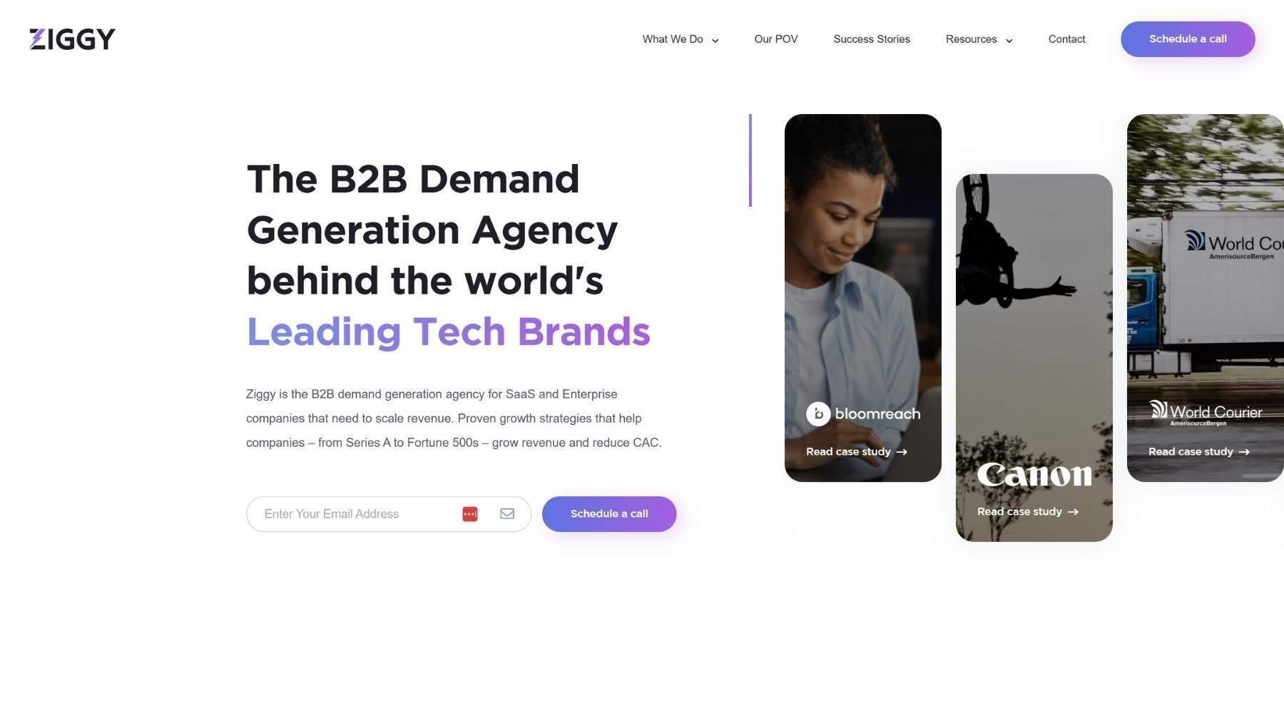 Ziggy Agency homepage