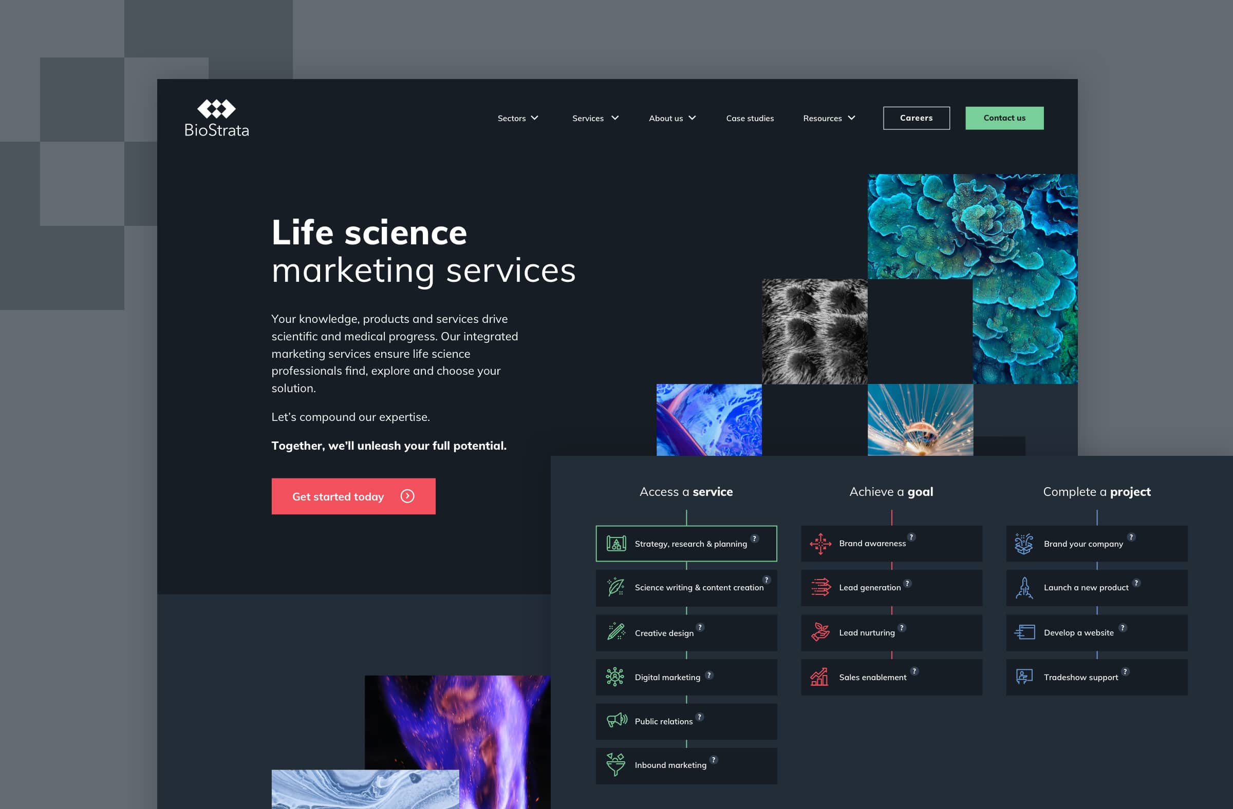 Provider Website Examples The 6 best healthcare website examples in 2026
