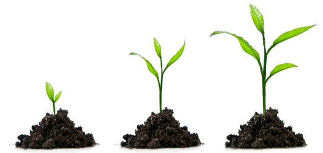 B2B lead nurturing fundamentals feature image