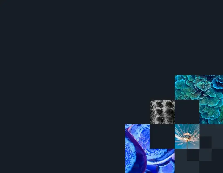 Biostrata Work Thumbnail