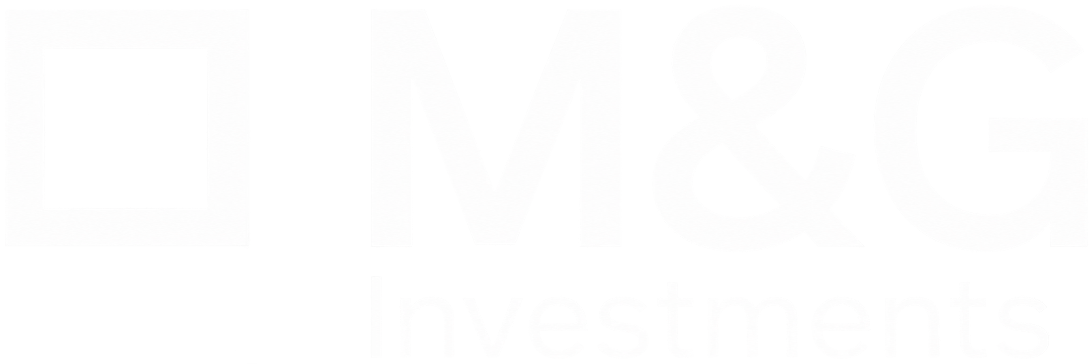 MG investments